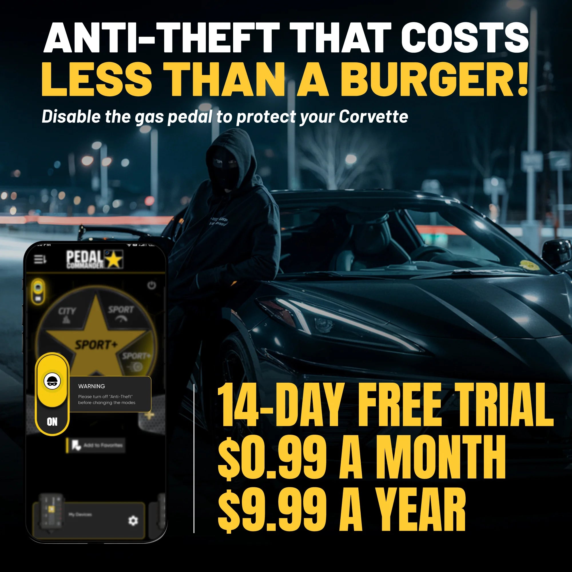 gallery-theft-Chevrolet-Corvette