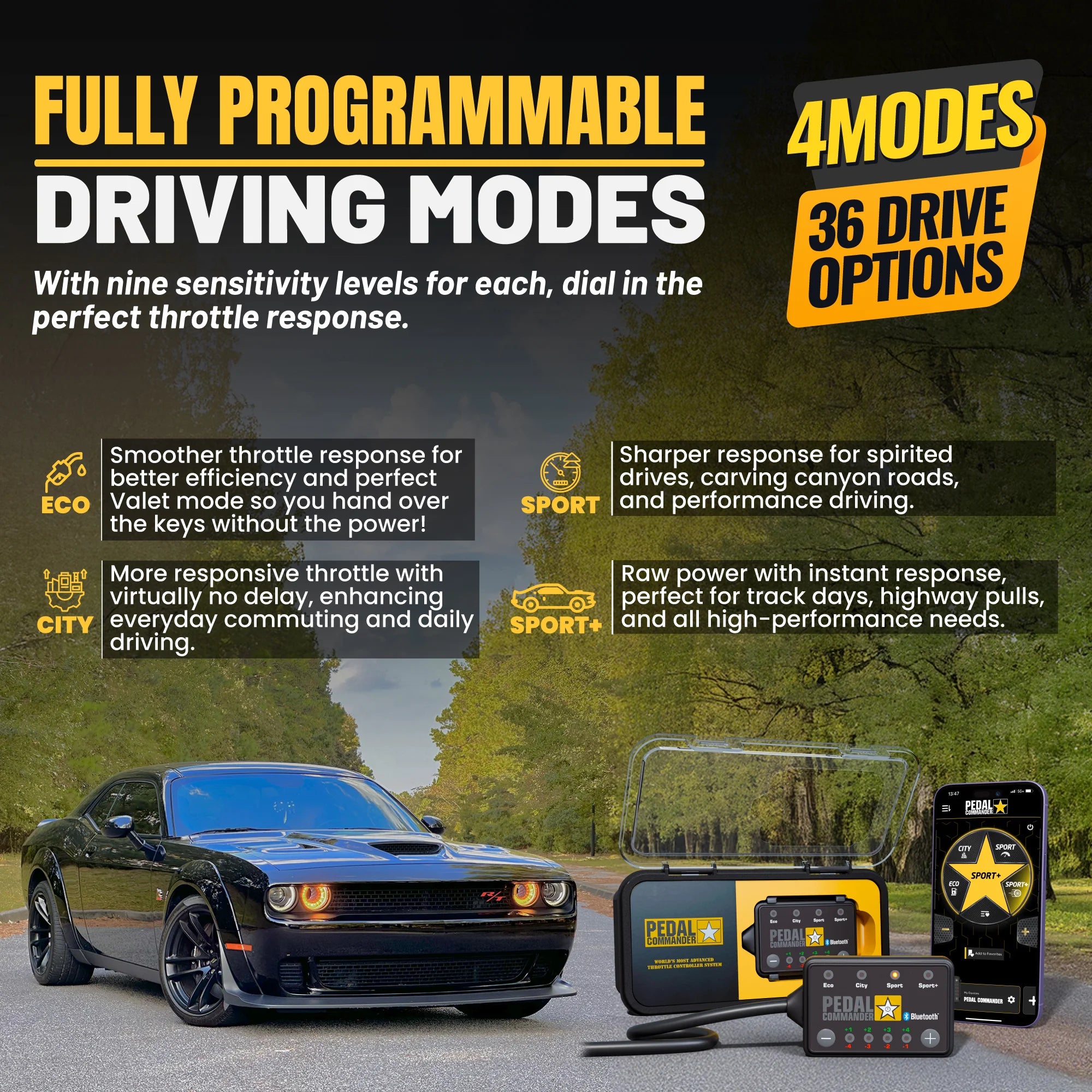 gallery-modes-Dodge-Challenger