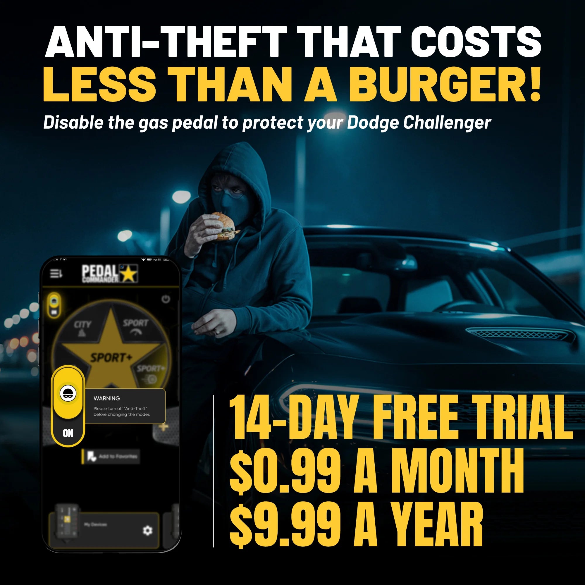 gallery-theft-Dodge-Challenger