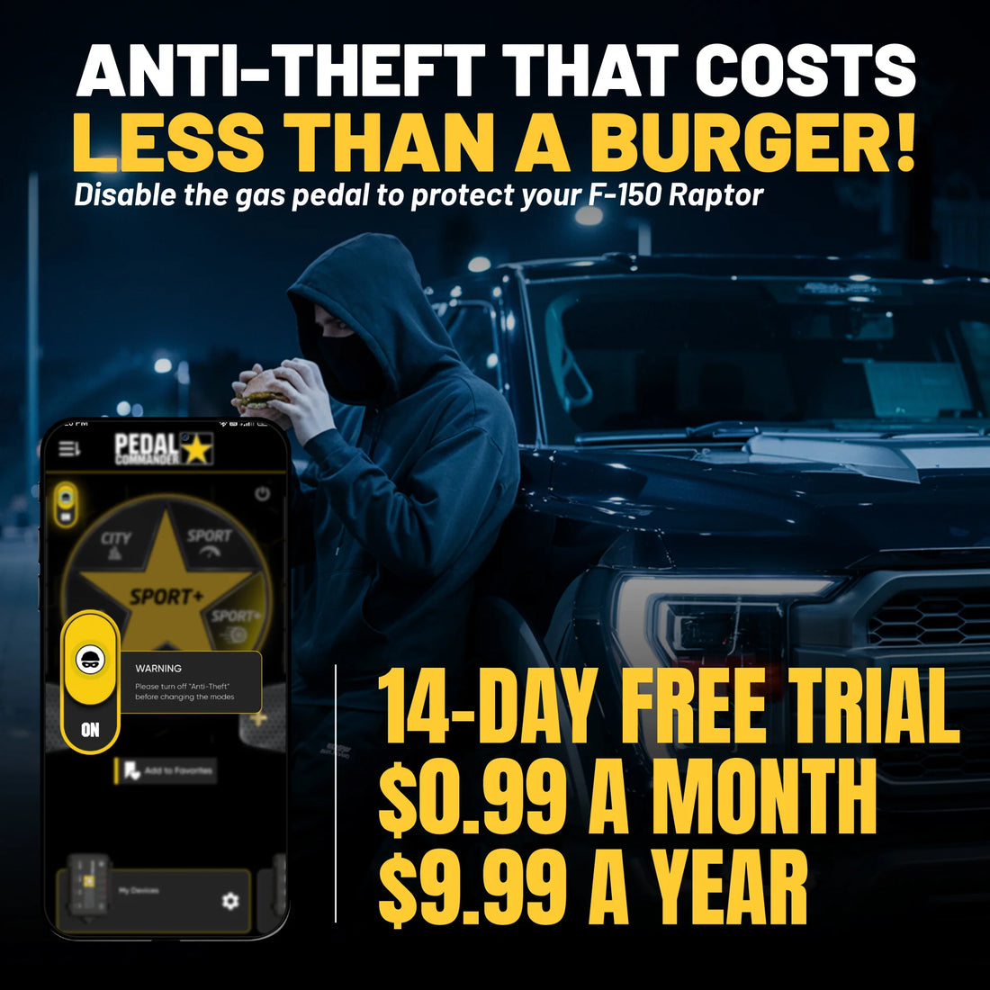 gallery-theft-Ford-F150-Raptor