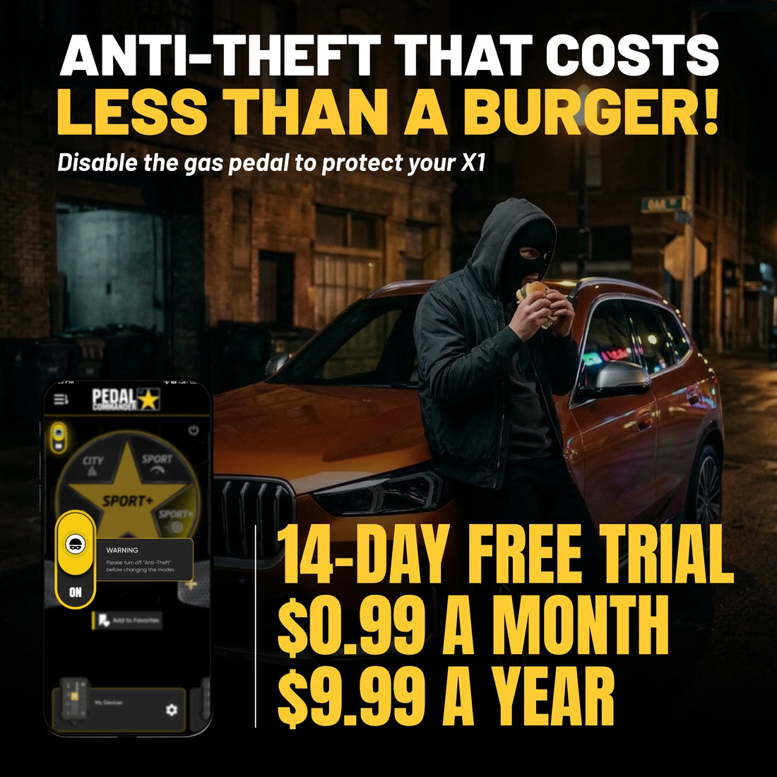 gallery-theft-bmwX1