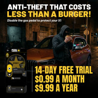 gallery-theft-bmwX1